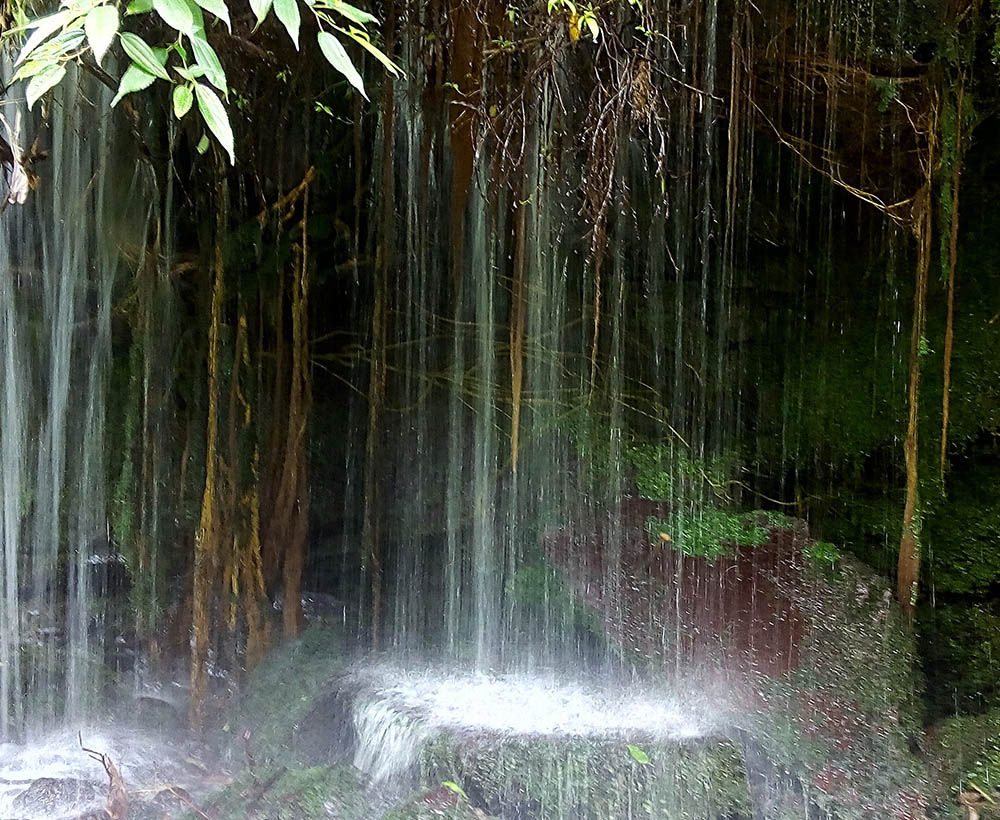 Elemento Agua Escuela De Valérie Gaillard